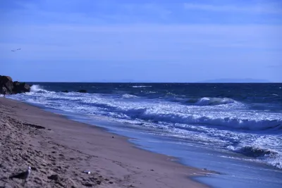 DSC_0513 (Large).JPG